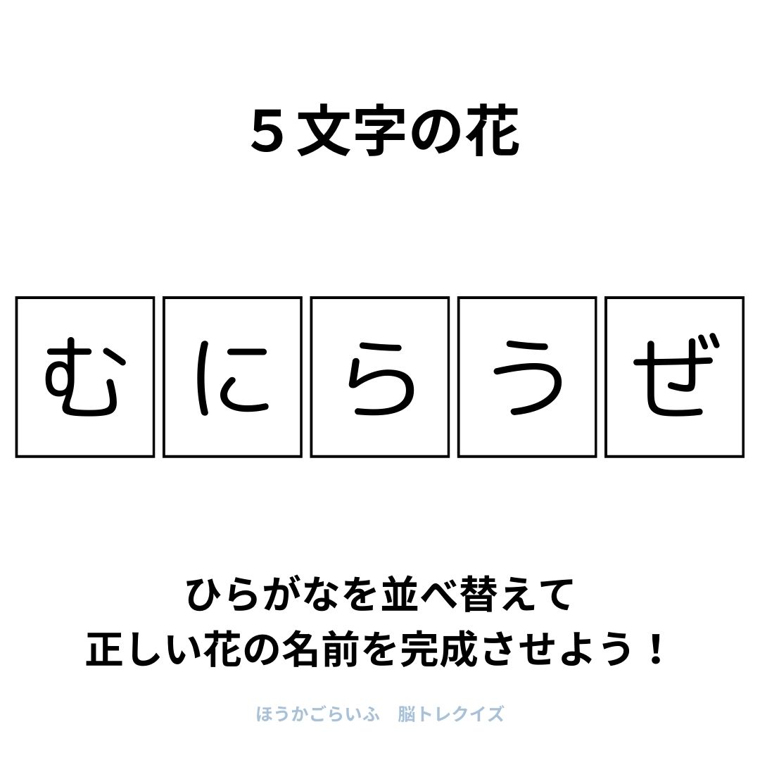 高齢者向け（無料）言葉の並び替えで脳トレしよう！文字（ひらがな）を並び替える簡単なゲーム【花の名前】健康寿命を延ばす鍵